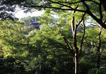 五感で四季を感じ、癒しを体感＂ホテル椿山荘東京の庭園“