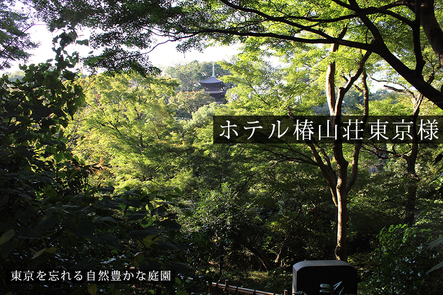 東京であることを忘れる自然豊かな庭園