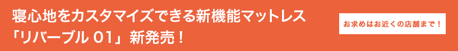 リバーブル01について